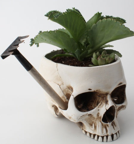 Resin Skull Flower Pot Ashtray Resin Skull Ornament Flower Pot