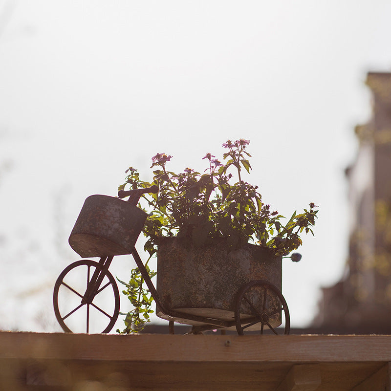 Bicycle Wrought Iron Flower Pot Flower Pot Succulent Pot Flower Cart