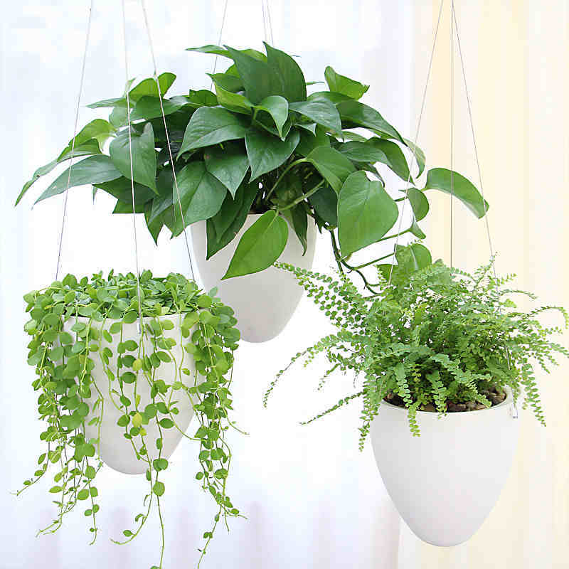 Lazy Automatic Water Suction Hanging Basin Frosted Water Storage Hanging Plastic Green Flower Pot