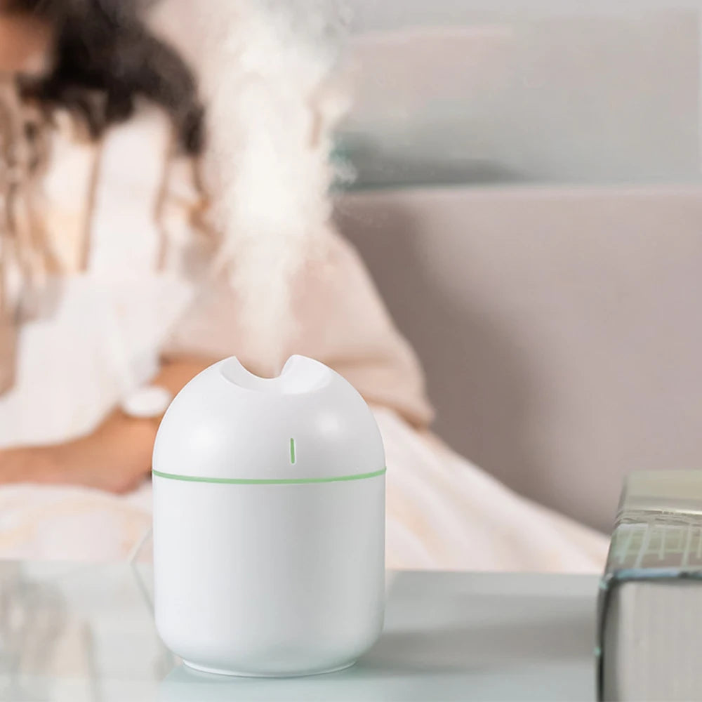 Portable Aromatherapy Diffuser Home Air Humidifier Moisturizing