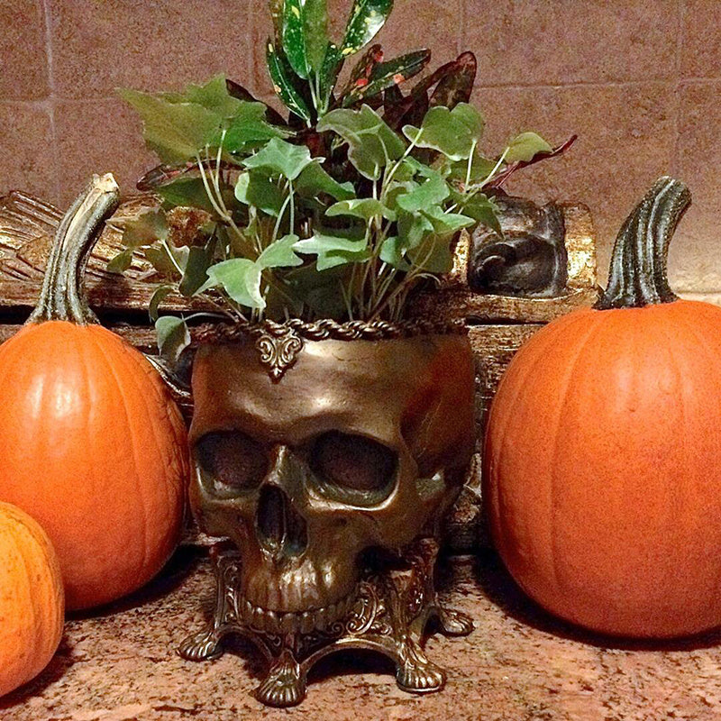 Home Skull Flower Pot Decoration Resin Crafts