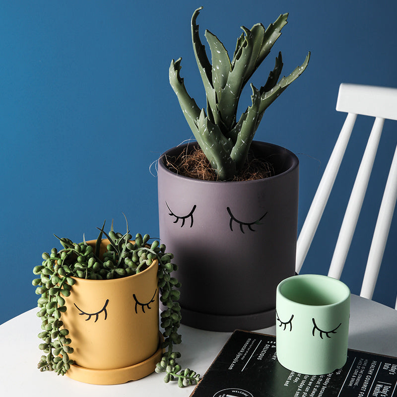 Ceramic Abstract Eyelashes Round Flower Pot Indoor Cactus Succulent Art Flower Pot